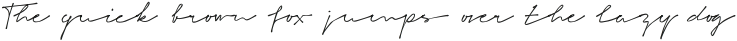 Signeton otf (400)