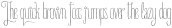 PARAMARIBO Light Condensed otf (300)