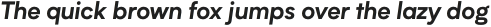 Biotif Bold Italic otf (700)