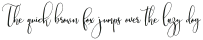Patricia Script Regular otf (400)