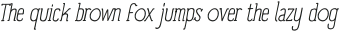Panforte Serif Light Light Italic otf (300)