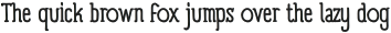 Panforte Serif otf (400)