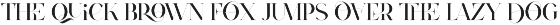 Type Prodigy - serif logo font preview