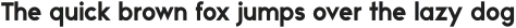 Reo Sans Bold otf (700)