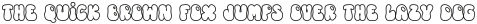 Retro Summer Outline otf (400)