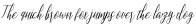 Montalia Script Regular otf (400)