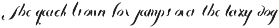 Liesel Brush Family font preview