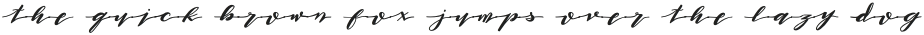 lkscript boldScript otf (700)