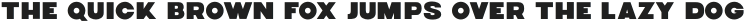 Tarant otf (400)