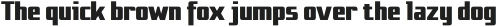 NT Gagarin Ossip otf (400)