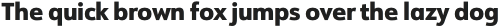 URW Form Heavy otf (800)
