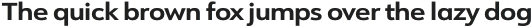 URW Form Expand Bold otf (700)