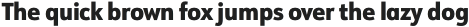 URW Form SemiCond Heavy otf (800)