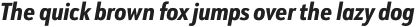 URW Form Cond Extra Bold Italic otf (700)