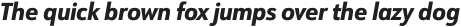 URW Form SemiCond Extra Bold Italic otf (700)