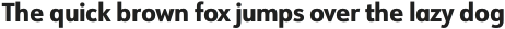 URW Form SemiCond Extra Bold otf (700)