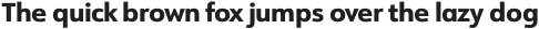 URW Form Extra Bold otf (700)