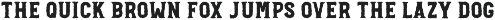 Explorers Logo & Font Collection preview