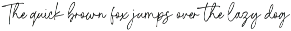 Tropical Paradise Font preview