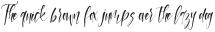 Casablanca otf (400)