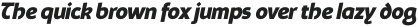 Schaberstein ExtraBold Italic otf (700)