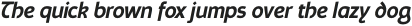 Schaberstein SemiBold Italic otf (600)