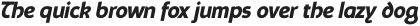 Schaberstein Bold Italic otf (700)