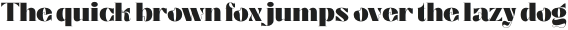 Segina Display Black otf (900)