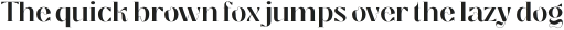 Segina Display Medium otf (500)