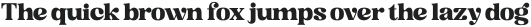 Glypster Bold otf (700)