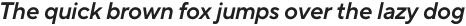 TT Norms ExtraBold otf (700)