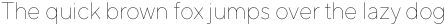 TT Norms Black Italic otf (900)