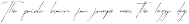 Jadatype Fonts Pack | Script Edition preview