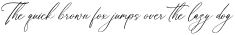 Maintelas Blomite Italic otf (400)