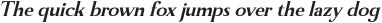 Manfitte Bold Italic otf (700)
