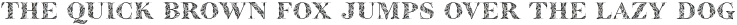 Blomma-PUA Regular otf (400)