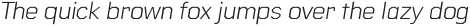 Raker Light Italic otf (300)