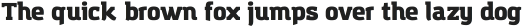 Amazing Grotesk Heavy ttf (800)