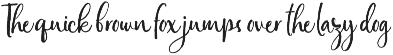 Bottomland • Ink Script font preview