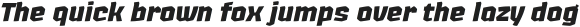 Lupulus UltraBold Italic otf (700) Sample