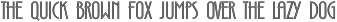 Zelda-NarrowInline Light otf (300)