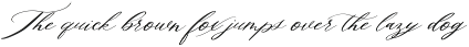 Amora Calligraphy Font preview