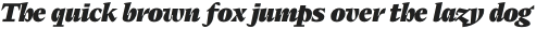 Elvira Serif Thin Italic otf (100)