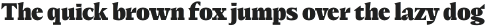 Elvira Serif Black otf (900)