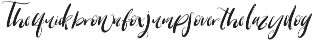 Warrenson Script Font preview