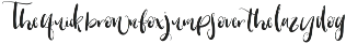 Warrenson Script Font preview