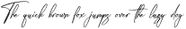 Amsthyline otf (400)
