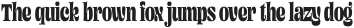 Mad Rascal Bold Condensed otf (700)