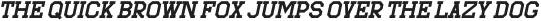 Sportfield Varsity Italic otf (400)