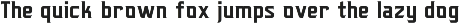 Triton Sports Font Family font preview
